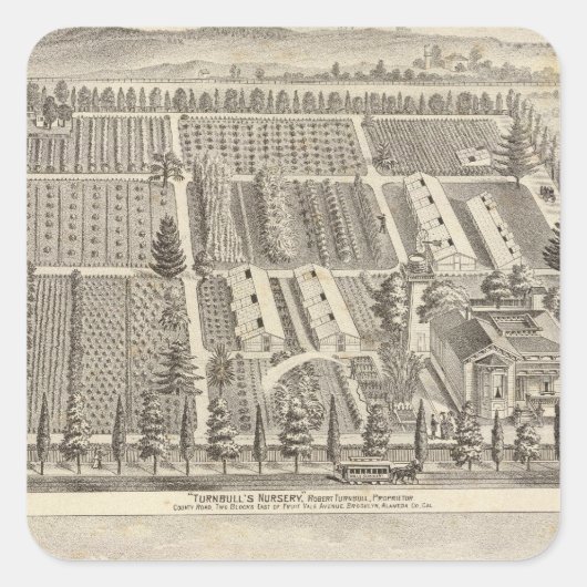 Turnbull's zuster, Fitch res Vierkante Sticker (Voorkant)