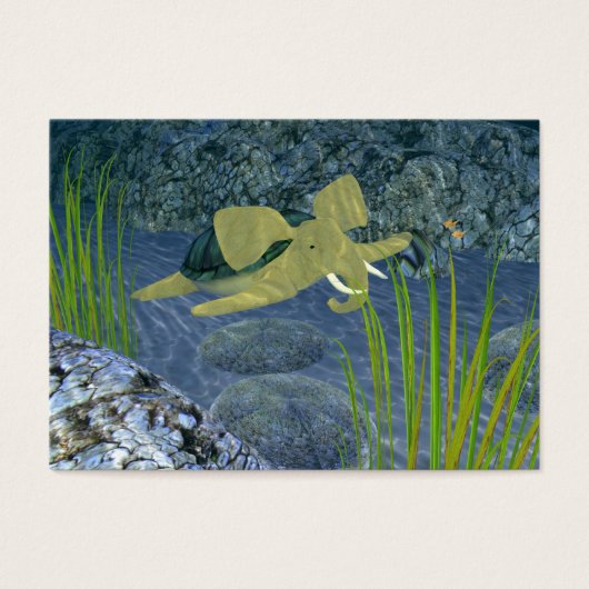 Turphant de natation (Devant)