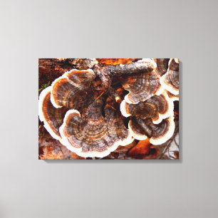 Turquie Tailles Fungi toile imprimé
