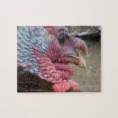 Turquie tom puzzle puzzle (Horizontal)