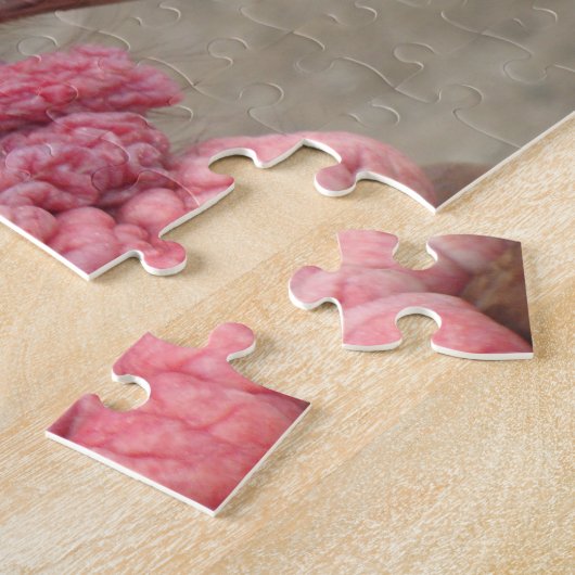 Turquie tom puzzle puzzle (Côté)