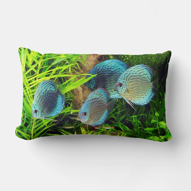 Turquoise Blue Discus Kussen (Voorkant)
