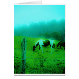 Turquoise brouillard Reto colorié poney peint Chev