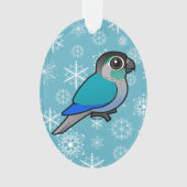 Turquoise Conure Vert-cheeked (devant)