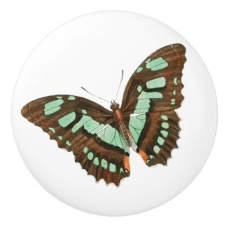 Turquoise en Brown Butterfly Keramische Knop