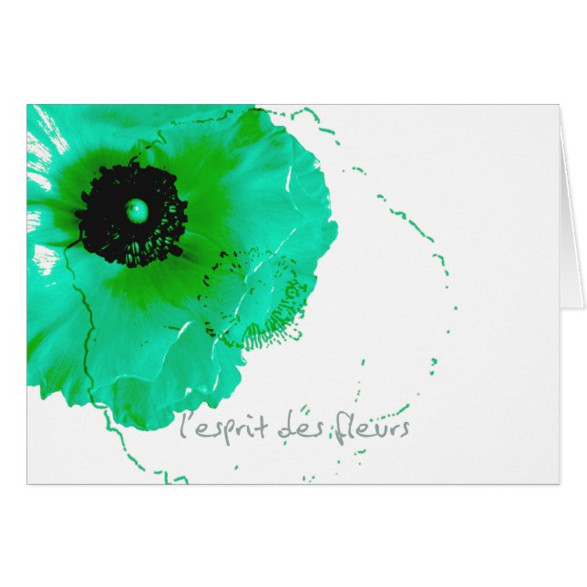 turquoise en witte ranunculus (Voorkant Horizontaal)