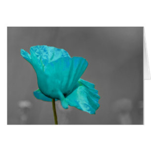 Turquoise Fleur de Pavot
