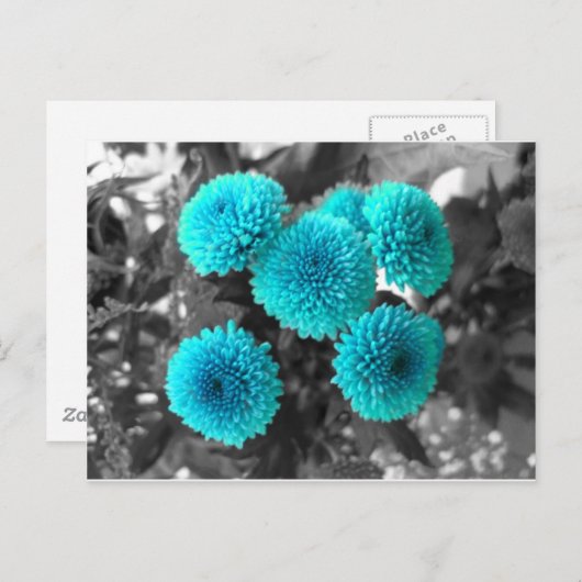 Turquoise Flowers Briefkaart (Voorkant / Achterkant)