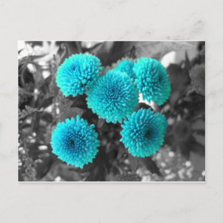 Turquoise Flowers Briefkaart