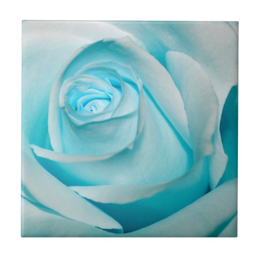 Turquoise Ice Roos Tegeltje (Voorkant)