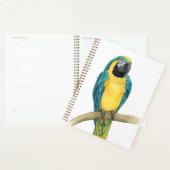 Turquoise Macaw (Devant avec enveloppe)