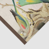 Turquoise Parakeet Tissuepapier (Detail)