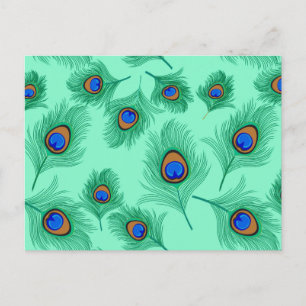 Turquoise Peacock Feathers on Light Aqua Briefkaart