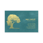 Turquoise Psycholoog Counselor Benoeming