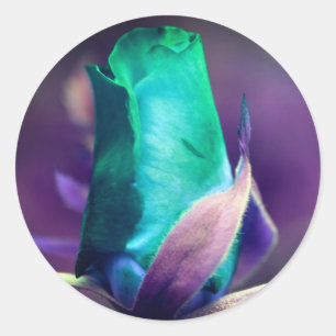 Turquoise Rosebud Flower Abstract Ronde Sticker