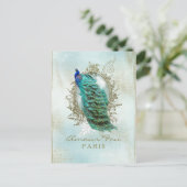 Turquoise Shabby Peacock - Carte Postale (Debout devant)
