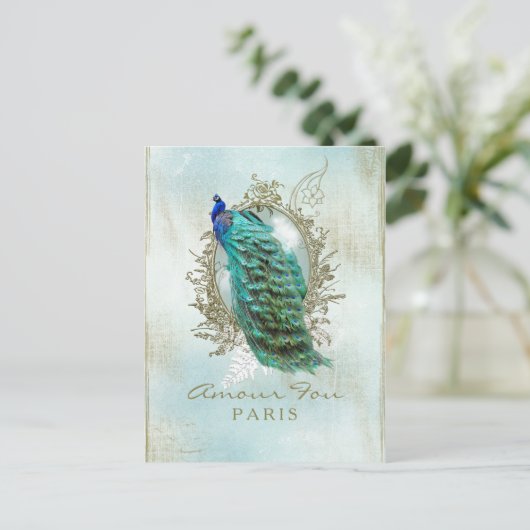 Turquoise Shabby Peacock - Carte Postale (Debout devant)