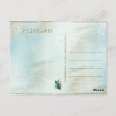 Turquoise Shabby Peacock - Carte Postale (Dos)