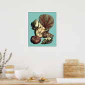 Turquoise Shell en Red Coral Collectie Poster (Keuken)