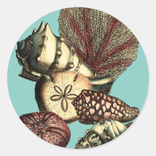 Turquoise Shell en Red Coral Collectie Ronde Sticker