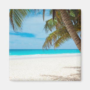 Turquoise Tropical Beach Magneet