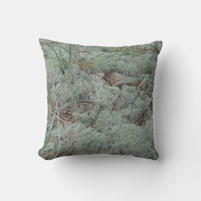 turquoise vert gris lichen abstrait motif coussin (Recto)