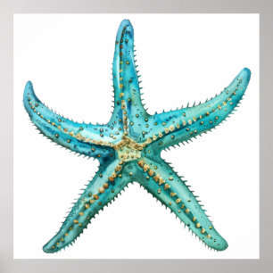 Turquoise zeester 24 x 24 poster