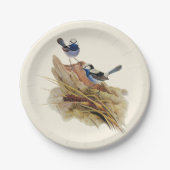 Turquoisine Superb Warbler Papieren Bordje (Voorkant)