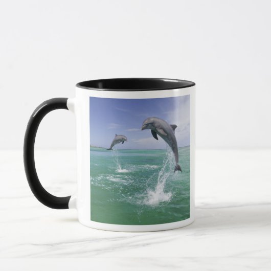 Tursiops truncatus mok (Links)