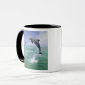 Tursiops truncatus mok (Voorkant links)