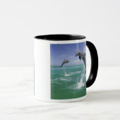 Tursiops truncatus mok (Voorkant rechts)