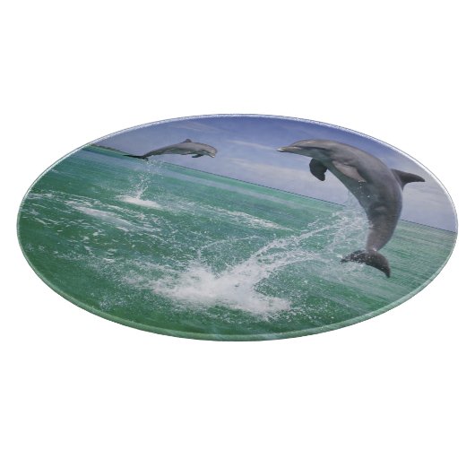 Tursiops truncatus snijplank (Hoek)