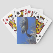 Turtle Bicycle Poker Deck (Achterkant)