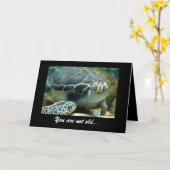 Turtle Birthday Kaart (Gele Bloem)