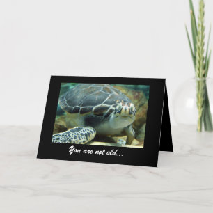Turtle Birthday Kaart