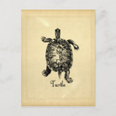 TURTLE BRIEFKAART (Voorkant)