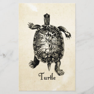  TURTLE BRIEFPAPIER
