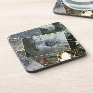 Turtle Collage Bier Onderzetter