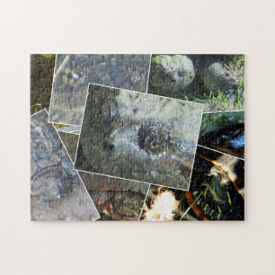 Turtle Collage Legpuzzel