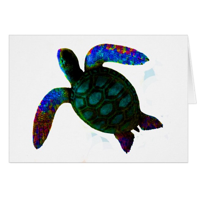 Turtle Cyan Le MUSÉE Zazzle Cadeaux (Devant horizontal)