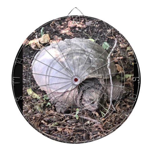 Turtle Dartboard Dartbord (Voorkant)