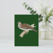Turtle Dove Briefkaart (Staand voorkant)