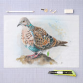 Turtle Dove Waterverf Tissuepapier (Craft)