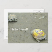 Turtle fan SpongeBob Briefkaart (Voorkant / Achterkant)