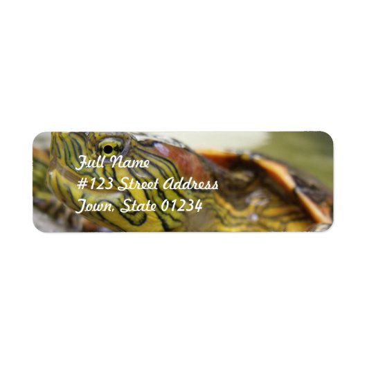 Turtle Identification Mailing Label (Voorkant)