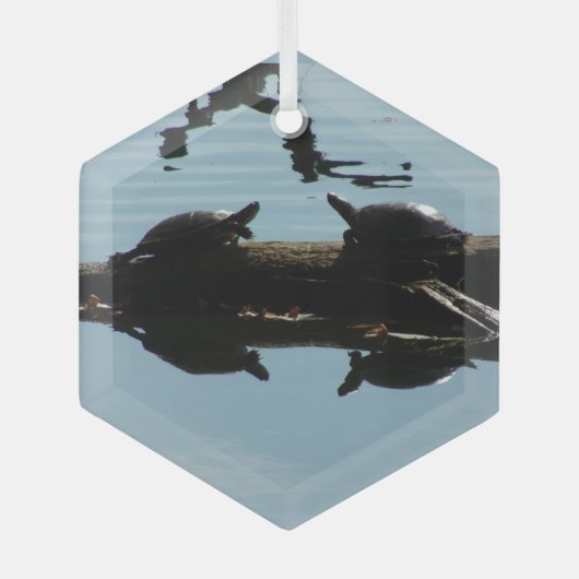 Turtle Interaction Ornament (Voorkant)