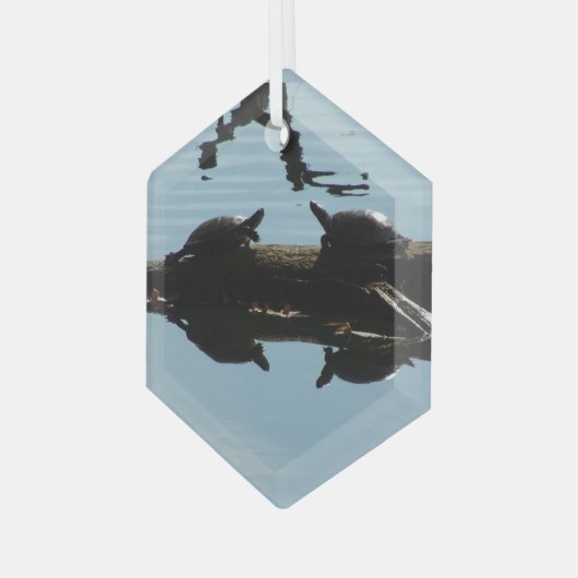 Turtle Interaction Ornament (Voorkant links)