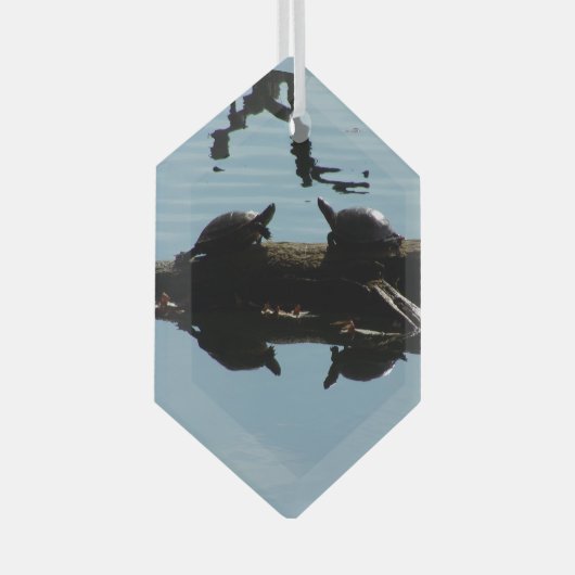 Turtle Interaction Ornament (Voorkant Rechts)