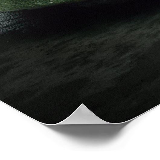 Turtle Island Poster (Hoek)