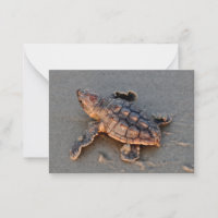Turtle jongen briefkaart